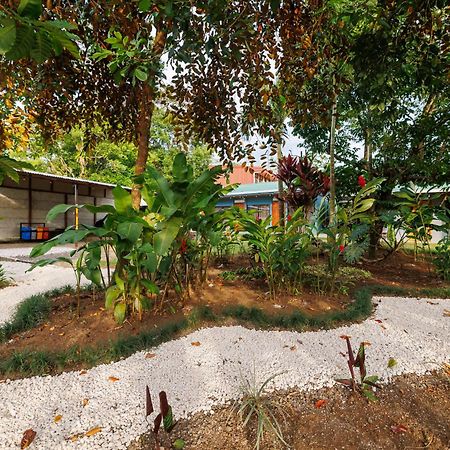 Rio Celeste Dreams Бихагуа Екстериор снимка